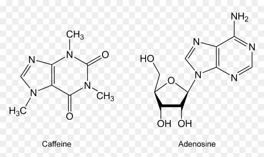 N6 2 O Dimethyladenosine, HD Png Download - caffeine molecule png