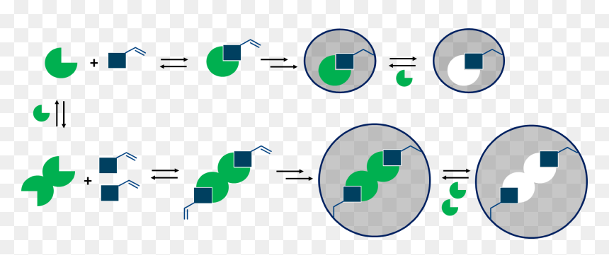 Circle, HD Png Download - caffeine molecule png