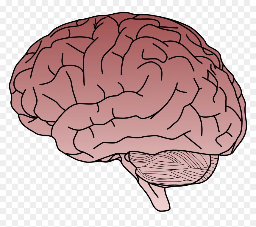Transparent Background Brain Transparent, HD Png Download - caffeine molecule png