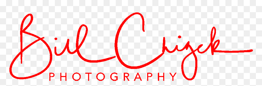 Bcp - Net Sig - Calligraphy, HD Png Download - shoutout png