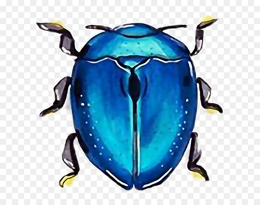 #beetle #beetles #beetlejuice #freetoedit - Leaf Beetle, HD Png Download - blue beetle png