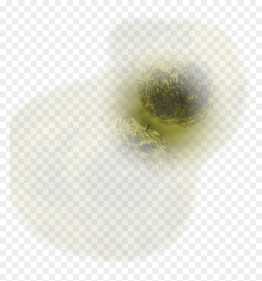 Macro Photography, HD Png Download - glitter trail png