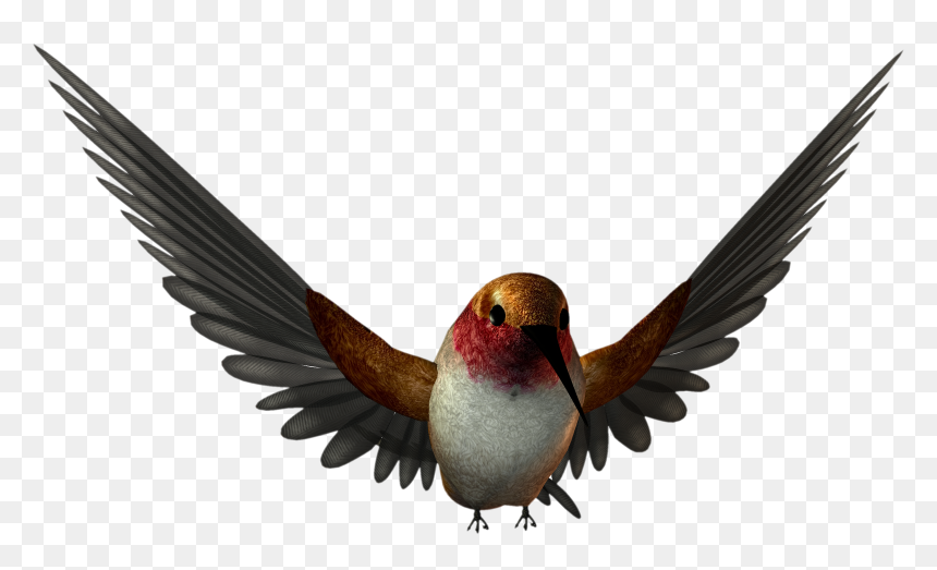 Free High Resolution Png Images - Birds Png, Transparent Png - high resolution png images