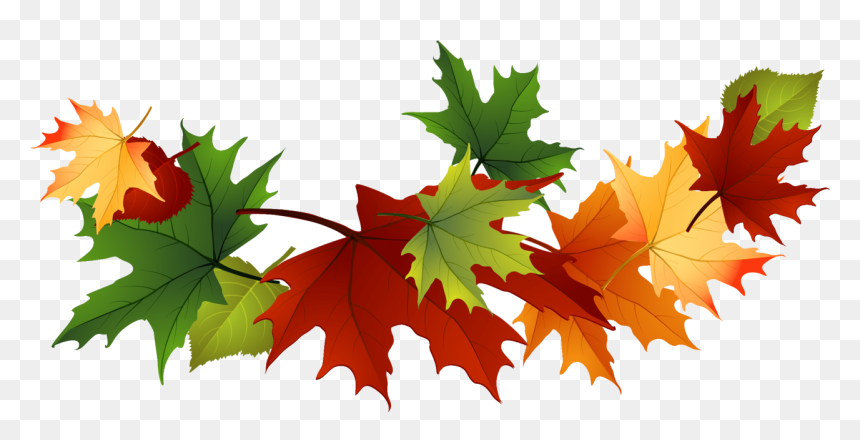 Transparent Fall Clipart Transparent - Clip Art Fall, HD Png Download - leaves clip art png