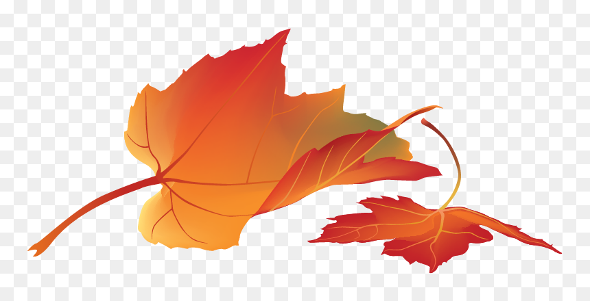Photoshop Psd Daun Gugur, HD Png Download - fall foliage png