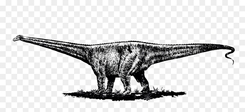 Una Conspiración Educativa - Tyrannosaurus, HD Png Download - diplodocus png