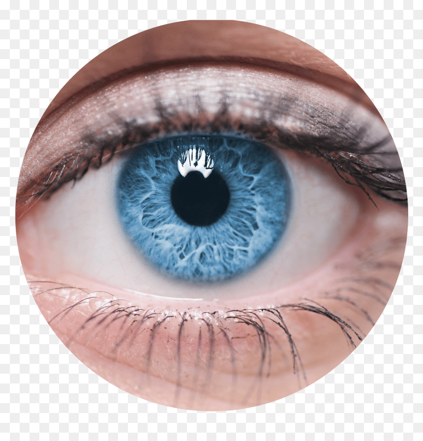 Olho , Png Download - Female Eye, Transparent Png - olho png