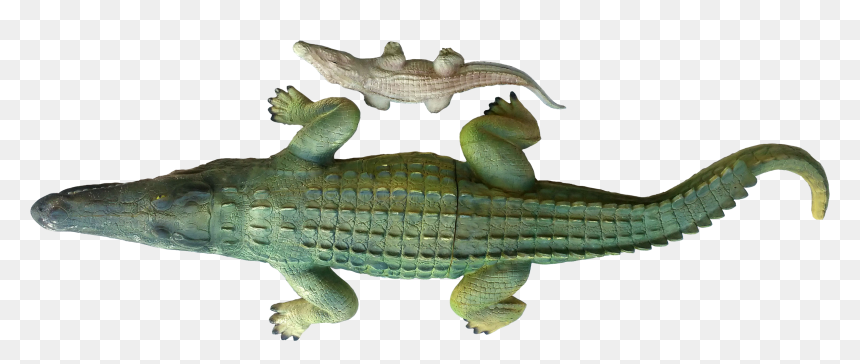 Nile Crocodile, HD Png Download - cocodrilo png