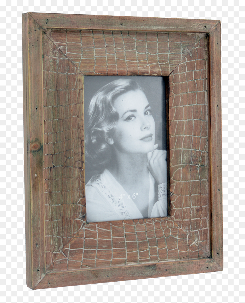 Portaretrato Png, Transparent Png - cocodrilo png
