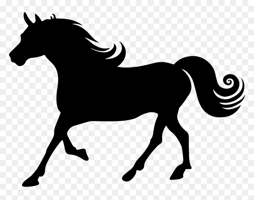 Horse With Curly Mane Silhouette - Horse Silhouette Icon, HD Png Download - curly line png
