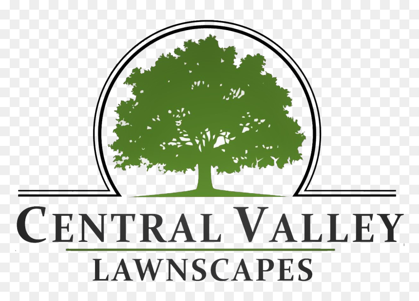Central Valley Lawnscapes"s Logo - Trottier Middle School, HD Png Download - landscape tree png