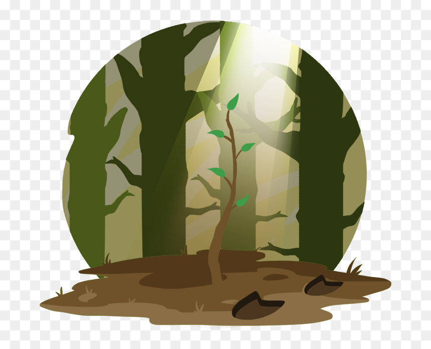 Illustration, HD Png Download - sapling png