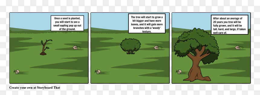 Battle Of Kings Mountain Cartoon, HD Png Download - sapling png