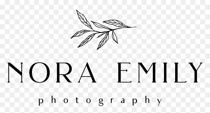 Nora Emily Photography - Line Art, HD Png Download - sapling png