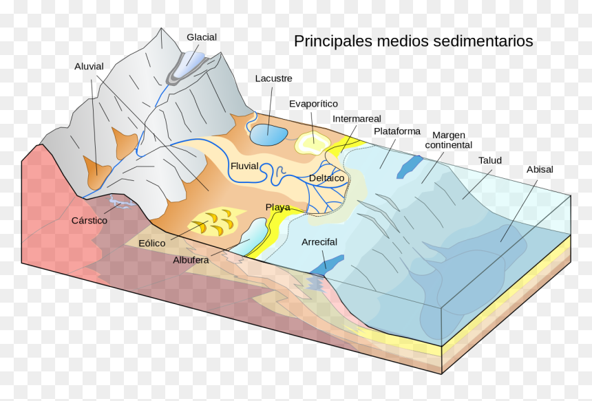 Marine Depositional Environment, HD Png Download - margen png