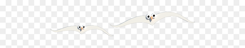 Tern, HD Png Download - gaviotas png