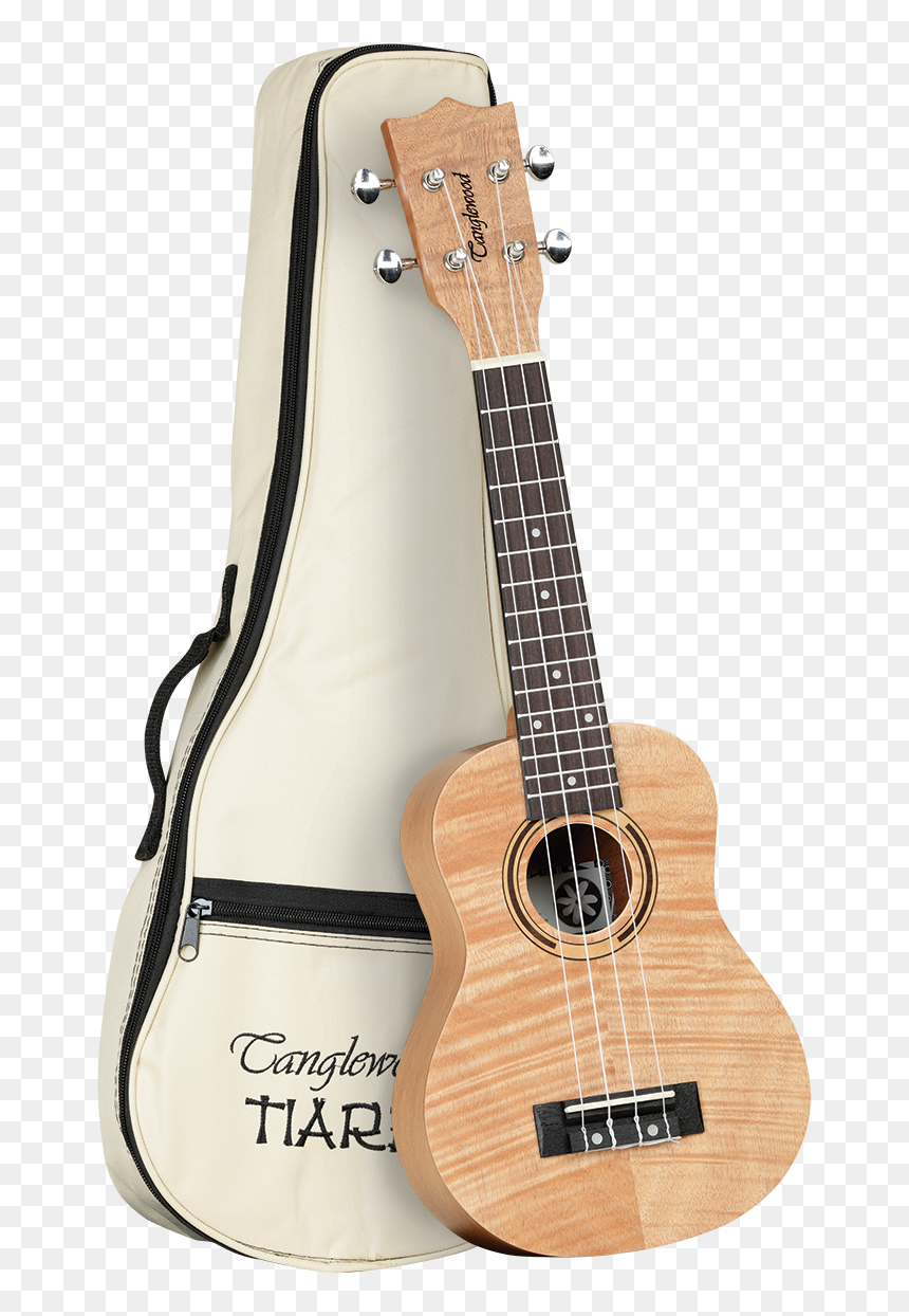 Ukulele, HD Png Download - ukelele png