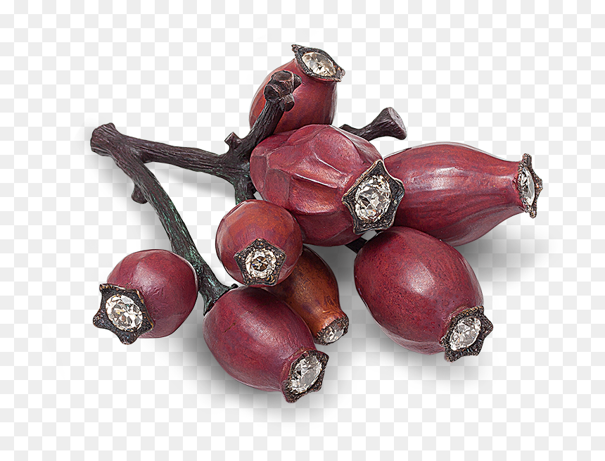 Hemmerle Brooch Shaped As A Rosehip, HD Png Download - red jewel png