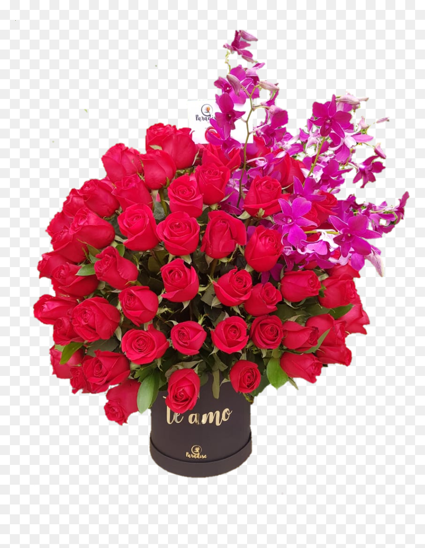 Garden Roses, HD Png Download - orquidea png