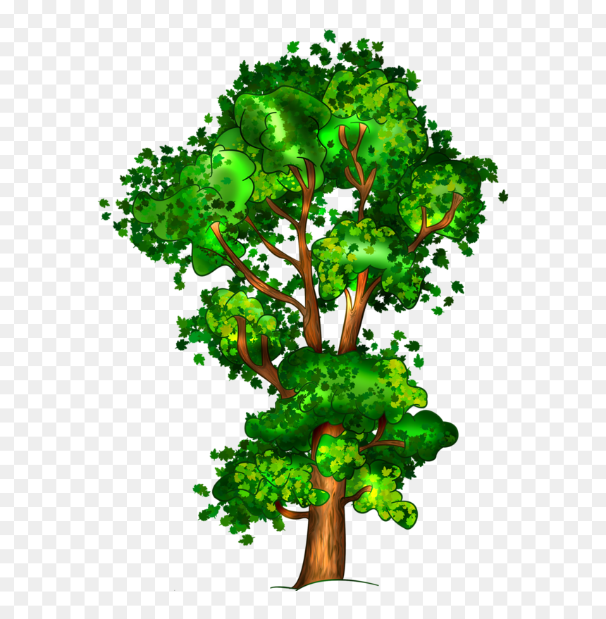 Clip Art , Png Download - Дерево Клипарт, Transparent Png - arbre png