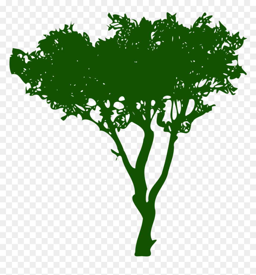 Silhouette Arbre - Template Girl Scout Flyer, HD Png Download - arbre png