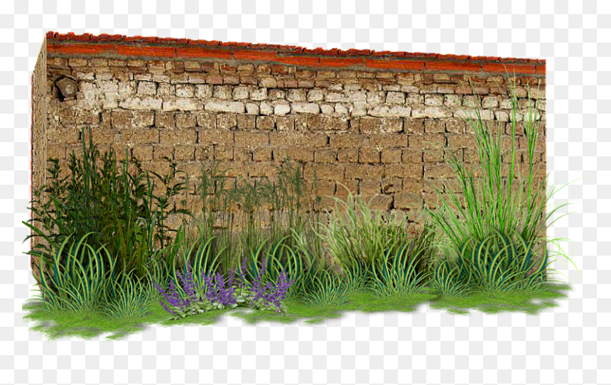 Sweet Grass, HD Png Download - enredaderas png