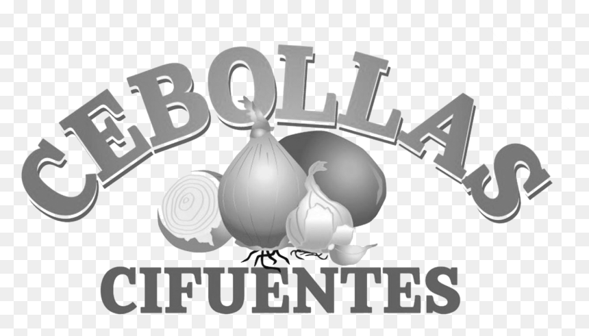 Elephant Garlic, HD Png Download - cebolla png