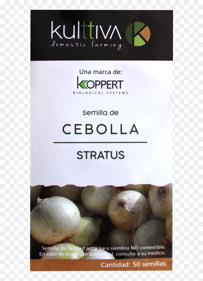 Elephant Garlic, HD Png Download - cebolla png