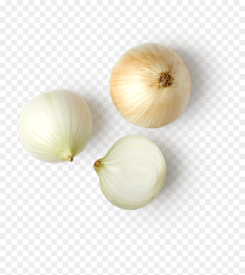 Elephant Garlic, HD Png Download - cebolla png