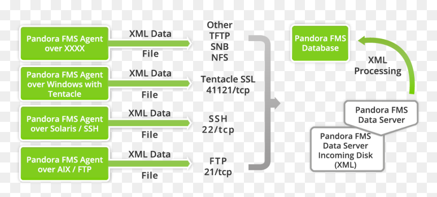 Pandora Fms Architecture, HD Png Download - tenticle png