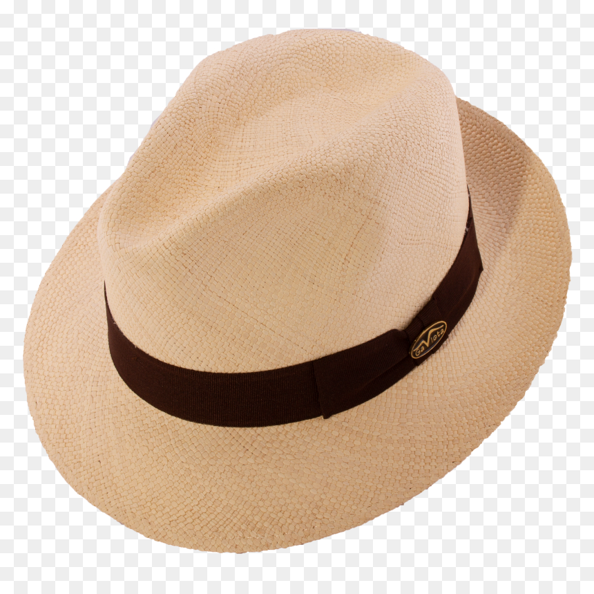 Fedora, HD Png Download - gaviota png