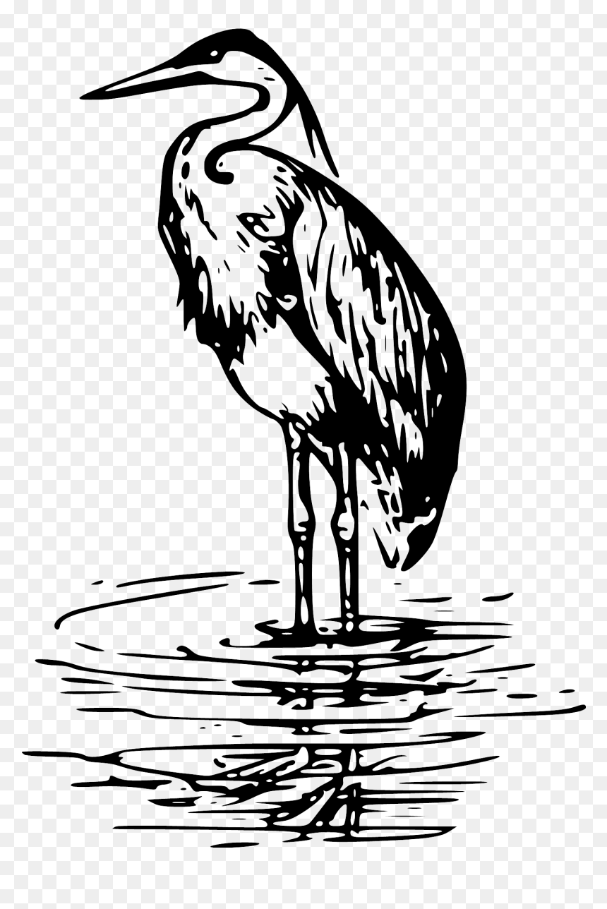 Green Heron Great Blue Heron Clip Art Great Egret - Blue Heron Black White, HD Png Download - heron png