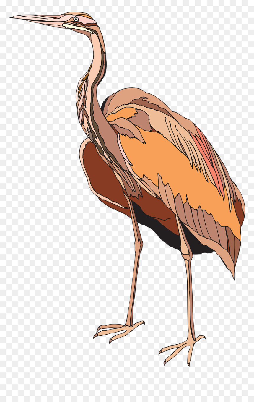 Heron, HD Png Download - heron png