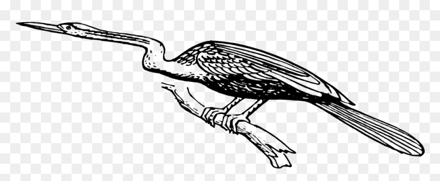Heron, HD Png Download - heron png