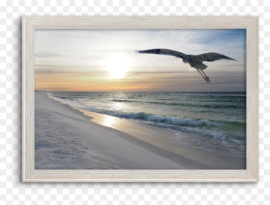 Picture Frame, HD Png Download - heron png