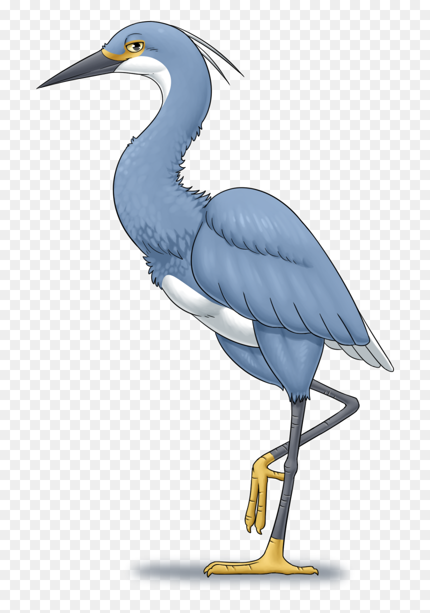 Little Blue Heron, HD Png Download - heron png