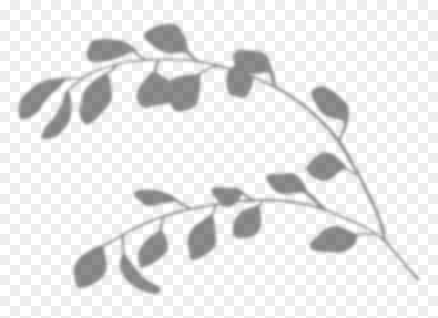 Illustration, HD Png Download - white leaf png
