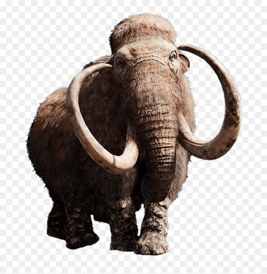 Mammoth With Giant Tusks - Walking Woolly Mammoth Toy, HD Png Download - tusk png