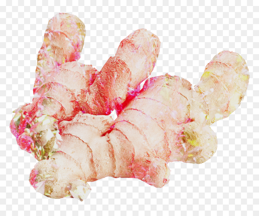 Untitled Design - Ginger Image Png, Transparent Png - black designs png