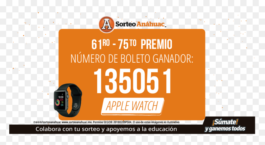 Beca 18, HD Png Download - ganador png