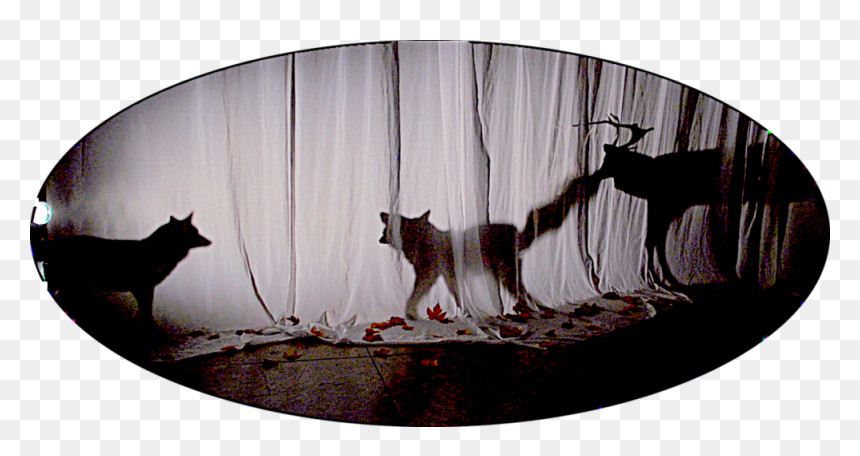 Surreal Png, Transparent Png - surreal png