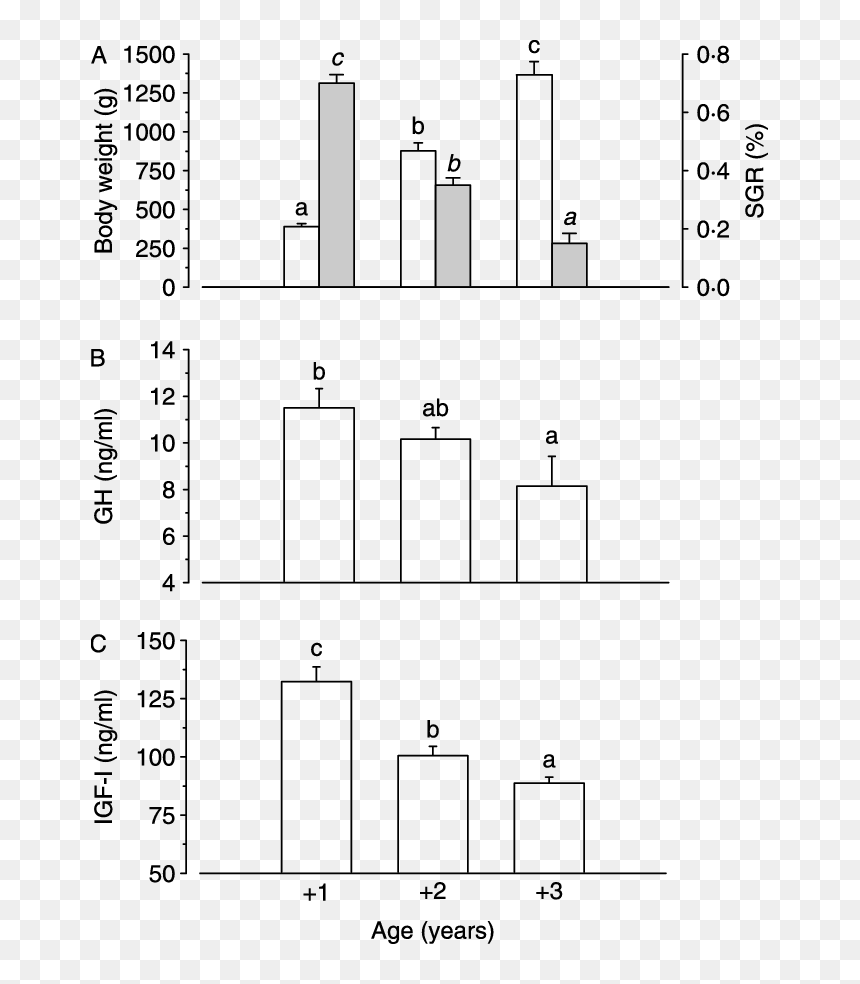 Diagram, HD Png Download - white bars png