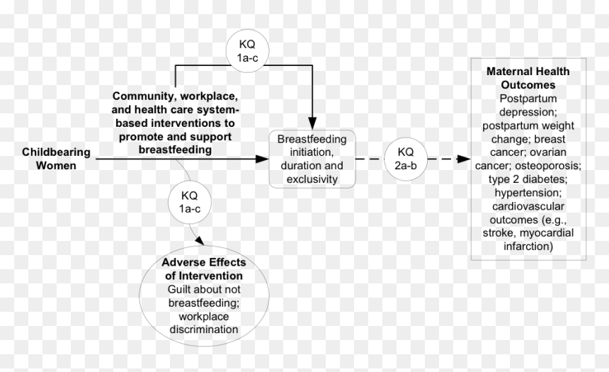 This Figure Depicts The Key Questions Within The Context - Breast Care For Postnatal, HD Png Download - breastfeeding png