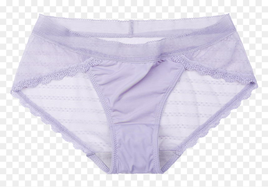 New Arrival Young Girls Lingerie Luxury Mesh Hipster - Underpants, HD Png Download - hipster girl png