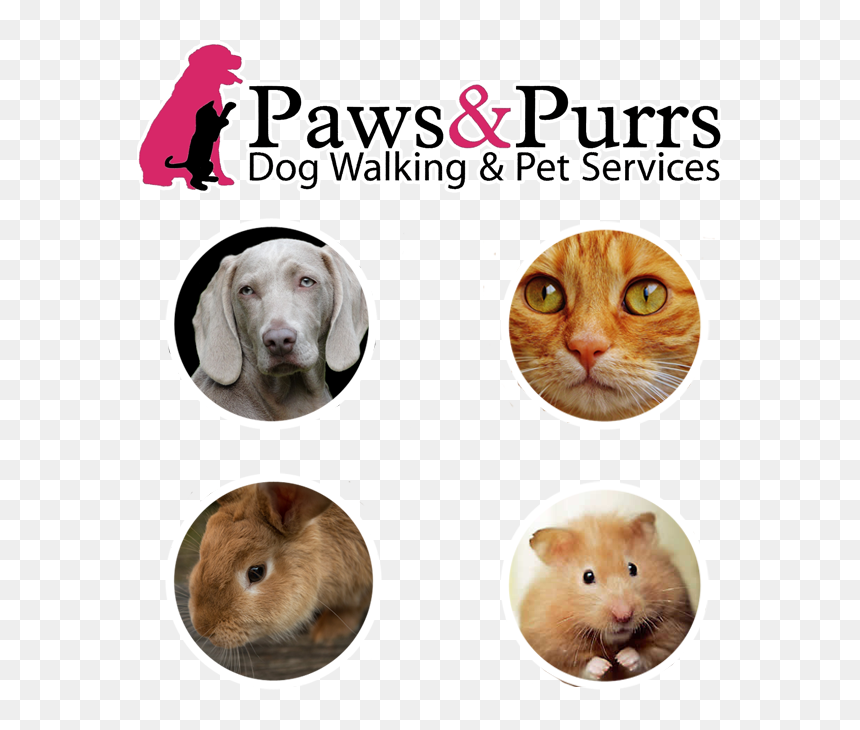 Guinea Pig, HD Png Download - dog walker png