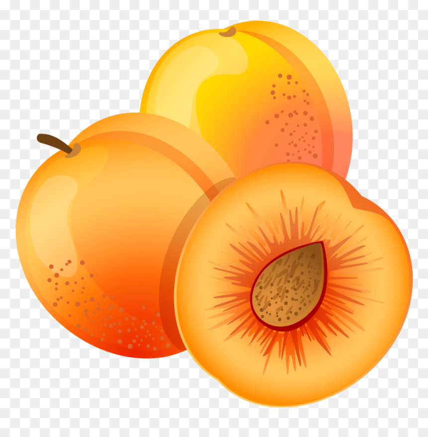 Apricot Clipart Png, Transparent Png - vector graphic png