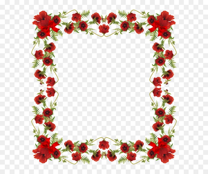 Para Fotos Image - Transparent Background Red Poppy, HD Png Download - molduras lindas png