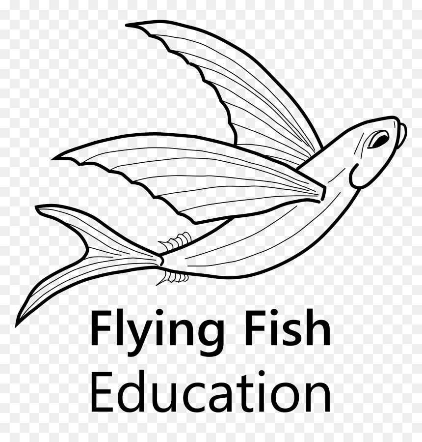 Drawing, HD Png Download - flying fish png