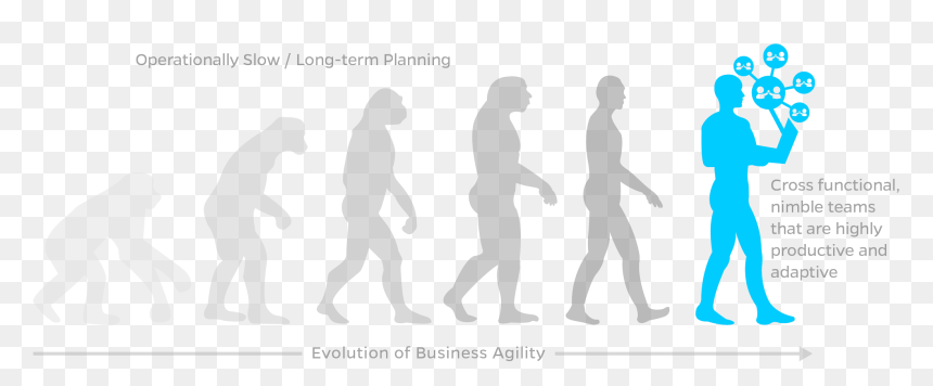 Evolution Of Man To Donkey, HD Png Download - human evolution png