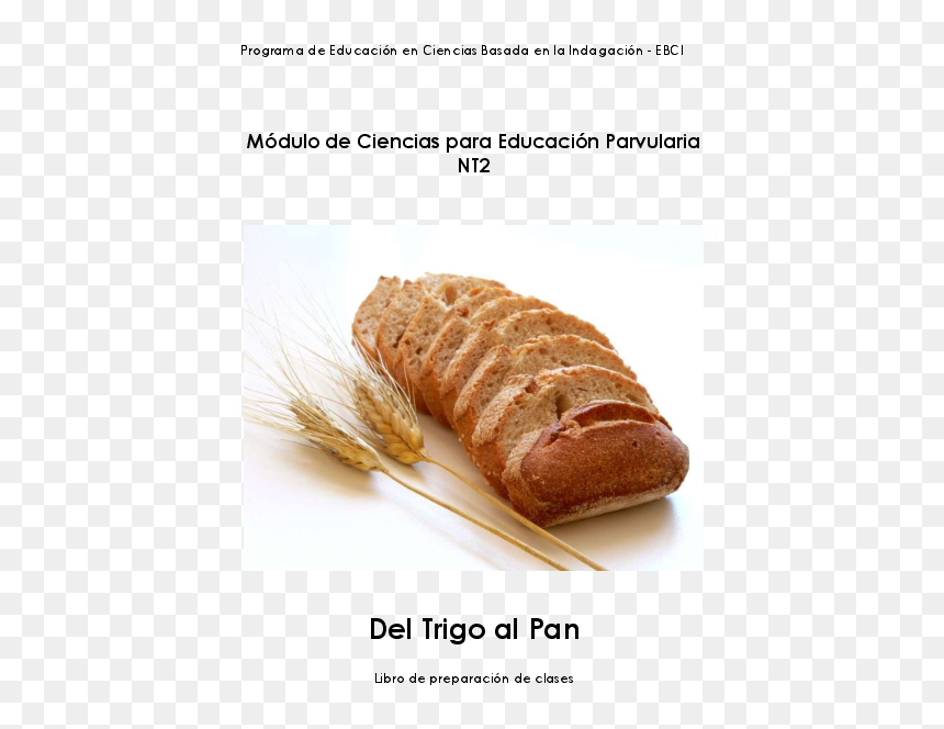 Pan Integral, HD Png Download - espigas de trigo png